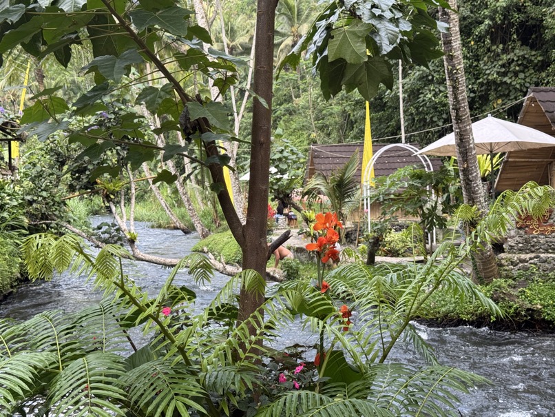 250622_1160_verkleinert-IMG_7176