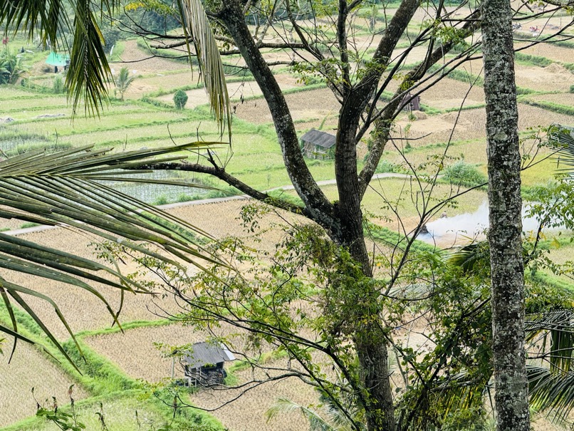 250622_1190_verkleinert-IMG_7179