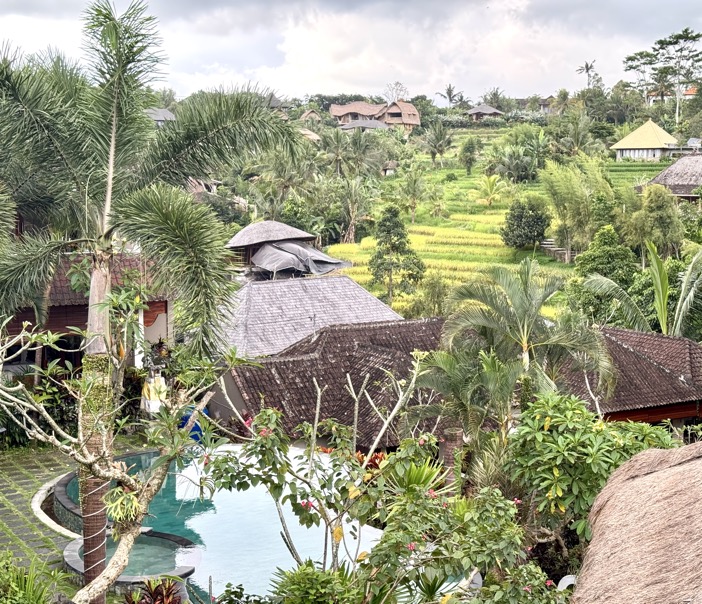 250622_1200_verkleinert-IMG_7181